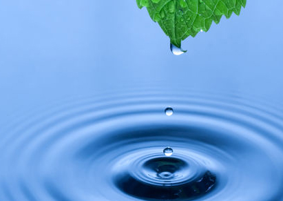 Water audit report mandatory